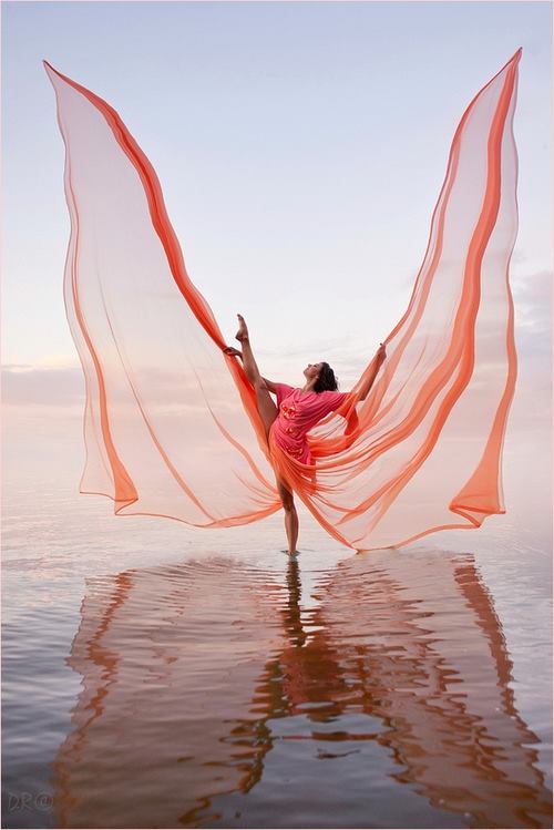 Дэнгийн эрвээхий (өгүүллэг)